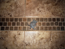 SHOWER STALL BORDER WITH TURTLE INLAY