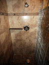 SHOWER STALL WITH GRANITE SOAP/SHAMPOO SHELF, GLASS BLOCK PARTITION, BORDER WITH TURTLE INLAY